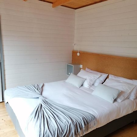 Quinta Mata Da Se Hotel Miranda do Corvo Eksteriør billede