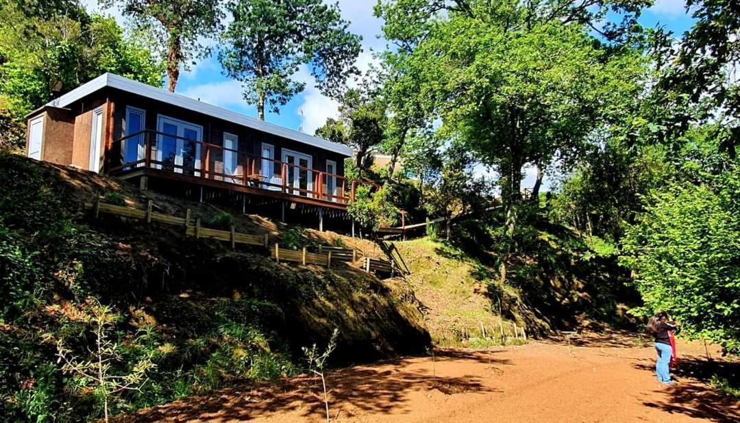 Quinta Mata Da Se Hotel Miranda do Corvo Eksteriør billede
